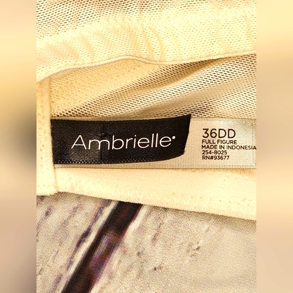 Ambrielle Plunge 36DD Full Figure, push up, Padded, underwire bra, NWT - Picture 13 of 15